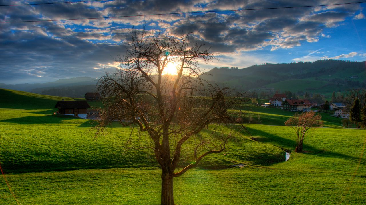 Wallpaper sunset, field, stream, landscape