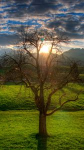 Preview wallpaper sunset, field, stream, landscape