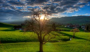 Preview wallpaper sunset, field, stream, landscape