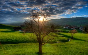 Preview wallpaper sunset, field, stream, landscape