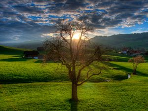 Preview wallpaper sunset, field, stream, landscape