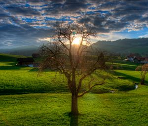 Preview wallpaper sunset, field, stream, landscape