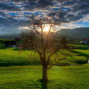 Preview wallpaper sunset, field, stream, landscape