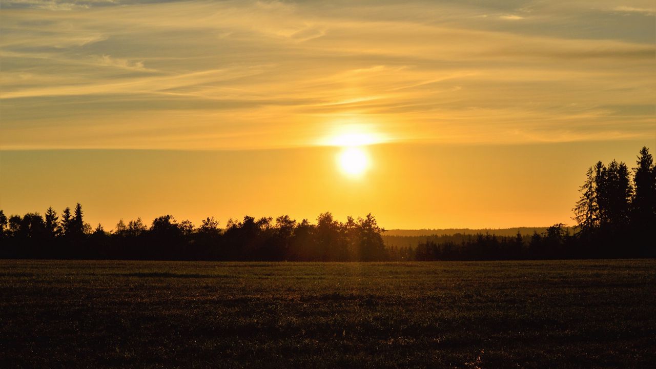 Wallpaper sunset, field, trees, sun, landscape