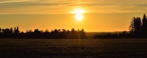 Preview wallpaper sunset, field, trees, sun, landscape