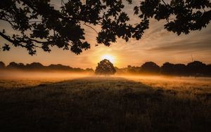 Preview wallpaper sunset, fog, tree, lawn, landscape