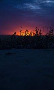 Preview wallpaper sunset, grass, horizon, twilight, dark