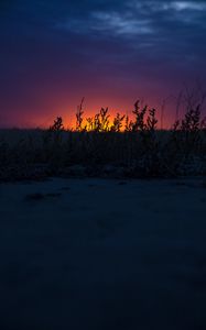 Preview wallpaper sunset, grass, horizon, twilight, dark