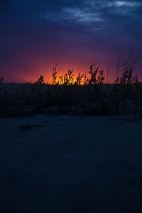 Preview wallpaper sunset, grass, horizon, twilight, dark