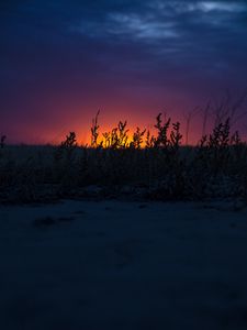 Preview wallpaper sunset, grass, horizon, twilight, dark