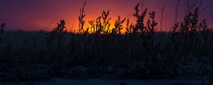 Preview wallpaper sunset, grass, horizon, twilight, dark