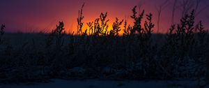 Preview wallpaper sunset, grass, horizon, twilight, dark