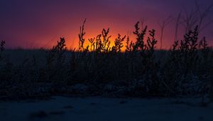 Preview wallpaper sunset, grass, horizon, twilight, dark