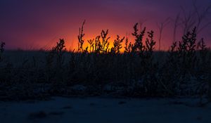 Preview wallpaper sunset, grass, horizon, twilight, dark