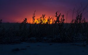 Preview wallpaper sunset, grass, horizon, twilight, dark