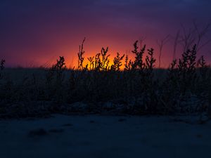 Preview wallpaper sunset, grass, horizon, twilight, dark