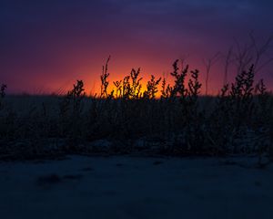 Preview wallpaper sunset, grass, horizon, twilight, dark