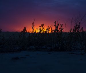Preview wallpaper sunset, grass, horizon, twilight, dark