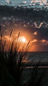 Preview wallpaper sunset, grass, sea, horizon