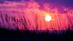 Preview wallpaper sunset, grass, sun, silhouette