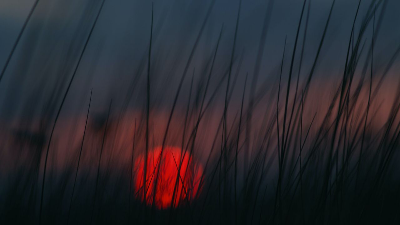 Wallpaper sunset, grass, sun, blur, dusk