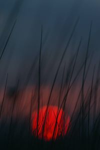 Preview wallpaper sunset, grass, sun, blur, dusk