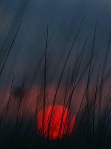 Preview wallpaper sunset, grass, sun, blur, dusk