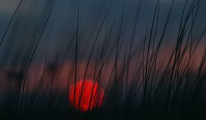 Preview wallpaper sunset, grass, sun, blur, dusk