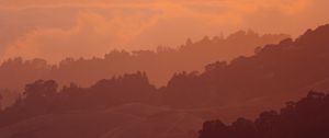 Preview wallpaper sunset, hills, trees, sky