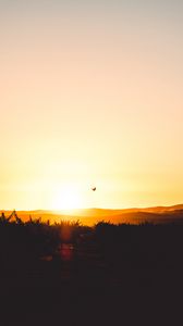 Preview wallpaper sunset, horizon, bird, silhouette, sky