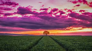 Preview wallpaper sunset, horizon, field, tree, grass, clouds