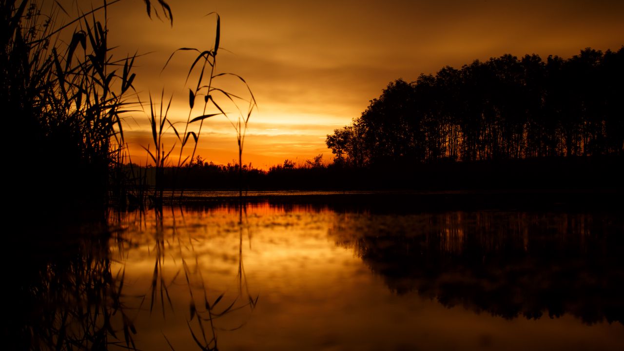 Wallpaper sunset, horizon, grass, sky