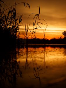 Preview wallpaper sunset, horizon, grass, sky