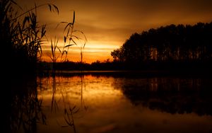 Preview wallpaper sunset, horizon, grass, sky