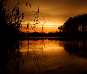 Preview wallpaper sunset, horizon, grass, sky