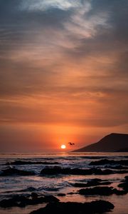 Preview wallpaper sunset, horizon, rocks, sea, birds