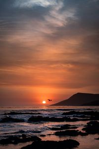 Preview wallpaper sunset, horizon, rocks, sea, birds