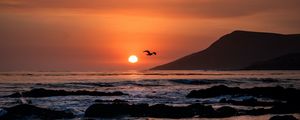 Preview wallpaper sunset, horizon, rocks, sea, birds