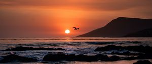 Preview wallpaper sunset, horizon, rocks, sea, birds