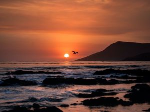 Preview wallpaper sunset, horizon, rocks, sea, birds