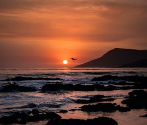 Preview wallpaper sunset, horizon, rocks, sea, birds