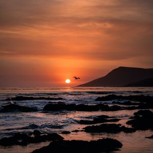 Preview wallpaper sunset, horizon, rocks, sea, birds