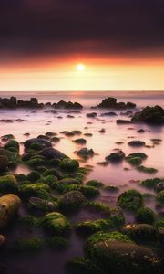 Preview wallpaper sunset, horizon, stones, moss