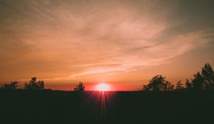 Preview wallpaper sunset, horizon, sun, trees, sky