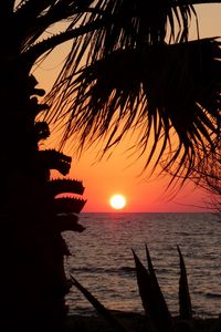 Preview wallpaper sunset, horizon, sun, silhouette, branches