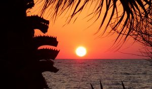 Preview wallpaper sunset, horizon, sun, silhouette, branches