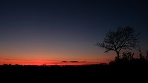 Preview wallpaper sunset, horizon, tree, sky, night