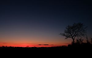 Preview wallpaper sunset, horizon, tree, sky, night