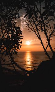 Preview wallpaper sunset, horizon, trees, branches, sun