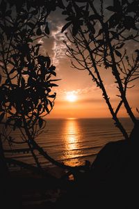 Preview wallpaper sunset, horizon, trees, branches, sun